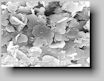 Fig. 1. Scanning electron micrograph of boron nitride coating, 3000 times