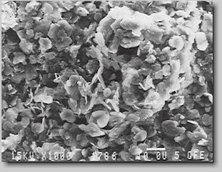 Fig. 2. Scanning electron mircograph of boron nitride, 700 times