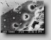 Bild 21. REM-Aufnahme eines berganges Schlichte-Gustck, 2400-fach