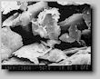 SEM-image of synthetic graphite