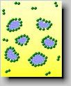 Illustration of the absorption of nitrogen on a powder surface