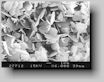 SEM of boron nitride powder