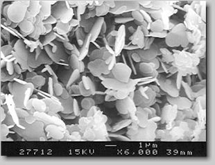 SEM of boron nitride powder