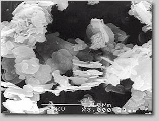 Fig. 1. Scanning electron micrograph of boron nitride, 3000 times