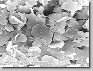 Fig. 1. Scanning electron micrograph of boron nitride coating, 3000 times