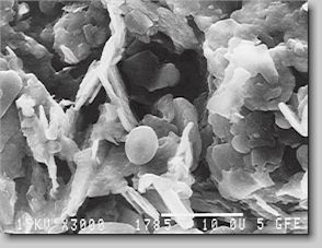 Fig. 3. Scanning electron mircograph of boron nitride, 2000 times