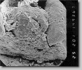 Bild 13. REM-Aufnahme einer Pyrophyllit-Schlichte, 160-fach