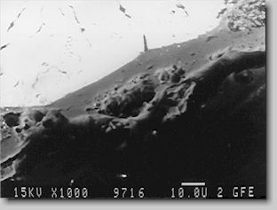 Bild 18. REM-Aufnahme eines berganges Schlichte-Gustck, 800-fach
