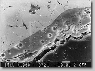 Bild 20. REM-Aufnahme eines berganges Gustck-Schlichte, 800-fach