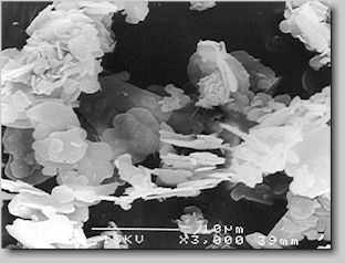 Fig. 2. SEM of boron nitride powder