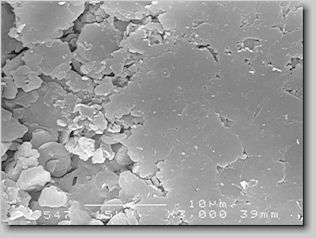 Fig. 5.  SEM of boron nitride coating, partially polished