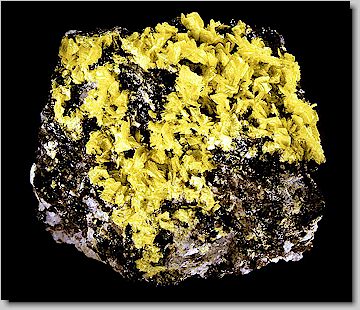 Autunite