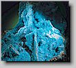 Hemimorphite