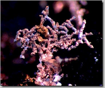 Copper, dendritic