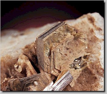 Muscovite