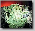 Variscite